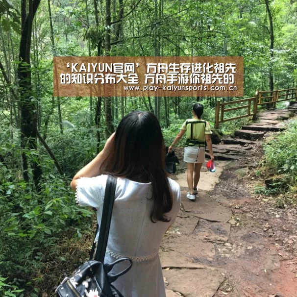 ‘KAIYUN官网’方舟生存进化祖先的知识分布大全 方舟手游