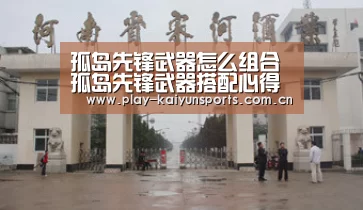 孤岛先锋武器怎么组合 孤岛先锋武器搭配心得‘开云赛事资讯’(图3) KAIYUN官网
