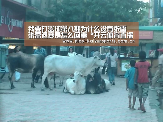 我要打篮球第八期为什么没有张雷 张雷退赛是怎么回事“开云体育