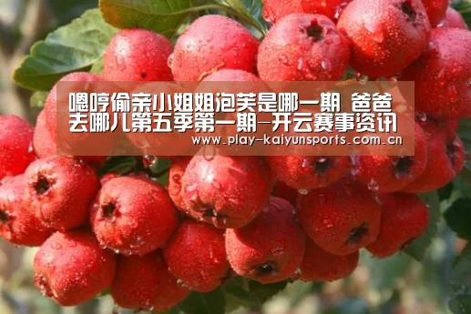 嗯哼偷亲小姐姐泡芙是哪一期 爸爸去哪儿第